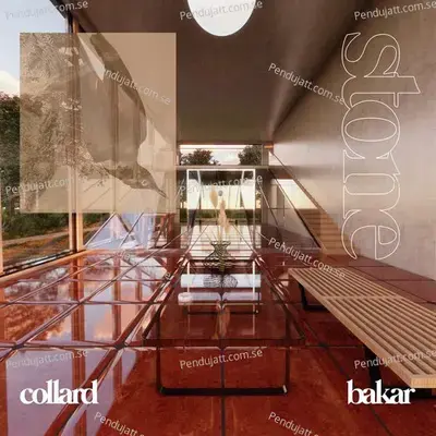 Stone - Collard album cover 