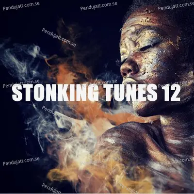 Stonking Tunes 12 - Various Artists cover album