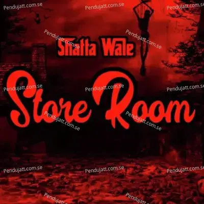 Store Room - Shatta Wale album cover 