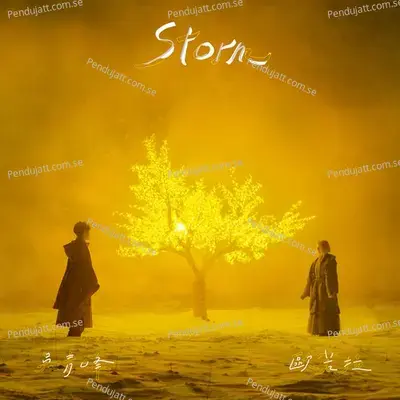 Storm - Qing Feng Wu