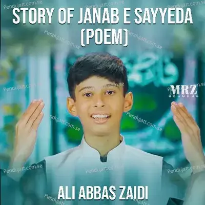 Story Of Janab E Sayyeda - Ali Abbas Zaidi album cover 