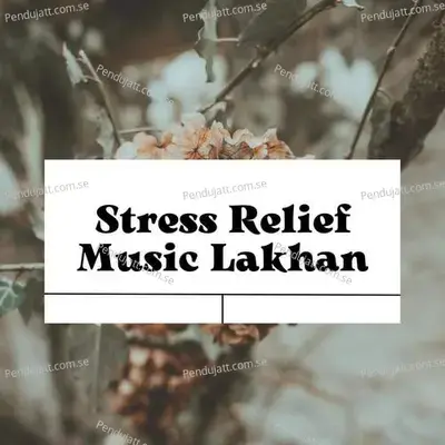 Stress Relief Music Lakhan - Lakhan Hire album cover 