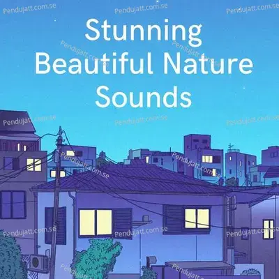 Stunning Beautiful Nature Sounds - Lakhan Hire album cover 