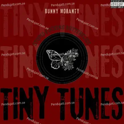 Stupid Fucking Butterflies - Bunny Mohanty album cover 