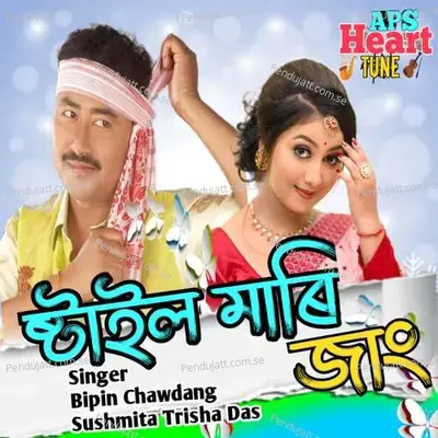 Style Maari Jang - Bipin Chawdang album cover 