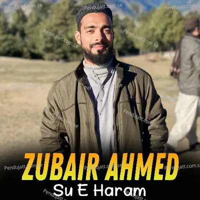 Su E Haram - Zubair Ahmed album cover 