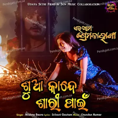 Sua Kande Sari Pain - Krishna Beura album cover 