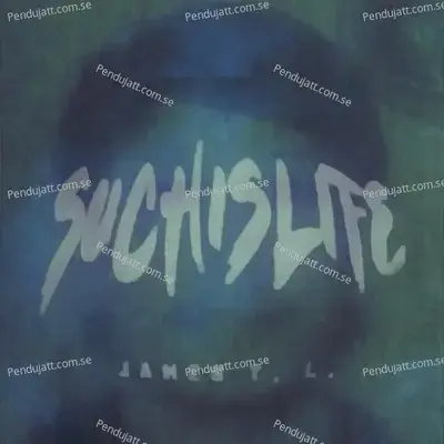 Such Is Life - James