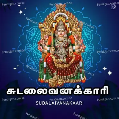 Sudalaivanakaari - D.V. Ramani cover album