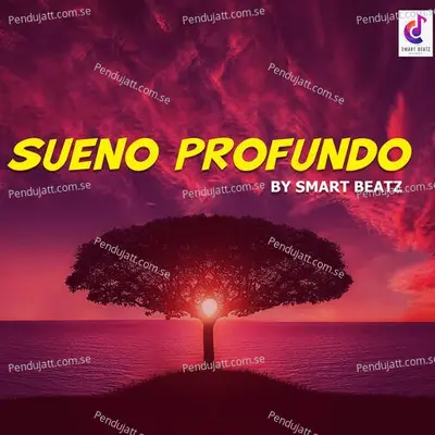 Sueno Profundo - Nikul Sabalpara album cover 