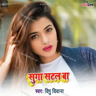 Suga Satal Ba - Deepu Deewana album cover 