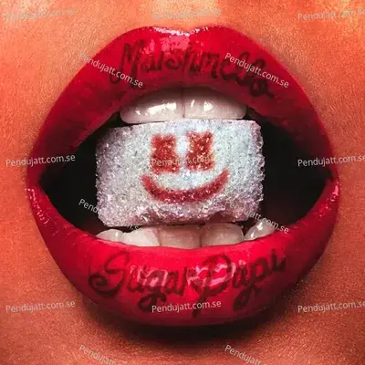 Sou Musa Do Verão - Marshmello album cover 