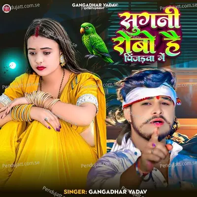 Sugni Robo Hai Pinjarba Me - Ganadhar Yadav album cover 