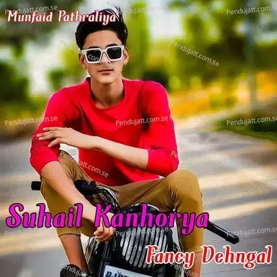 Suhail Kanhorya Fancy Dehngal - Munfaid Pathraliya album cover 