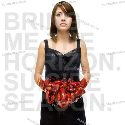 It Was Written In Blood - Bring Me The Horizon album cover 
