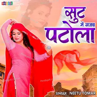 Suit Me Gajab Patola - Neetu Tomar album cover 