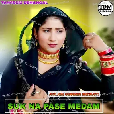 Suk Na Pase Medam - Tahseem Dehangal album cover 