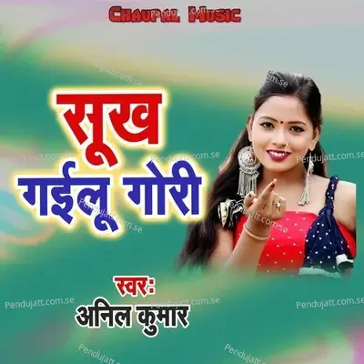 Sukh Gailu Gori - Anil Kumar album cover 