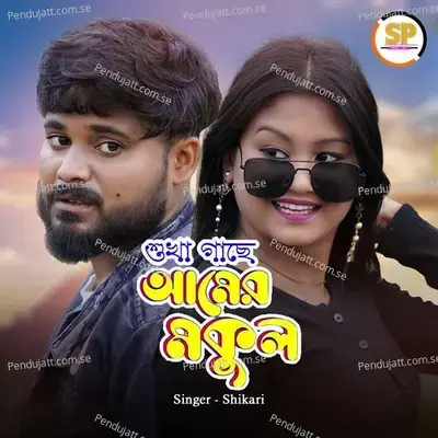 Sukha Gache Aamer Makul - ShIkaRi album cover 