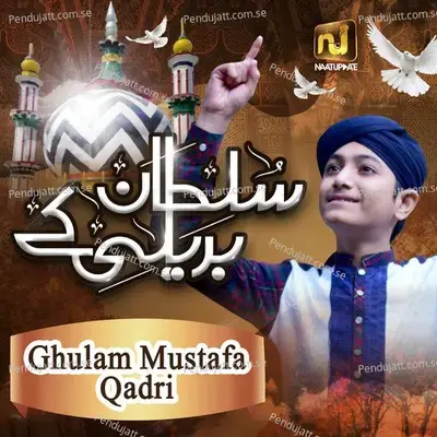 Sultan Bareilly Ke - Ghulam Mustafa Qadri album cover 