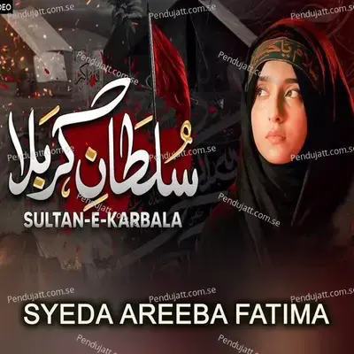 Mustafa Apke Jesa - Syeda Areeba Fatima album cover 