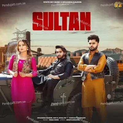 Sultan - Himanshu Kaushik album cover 