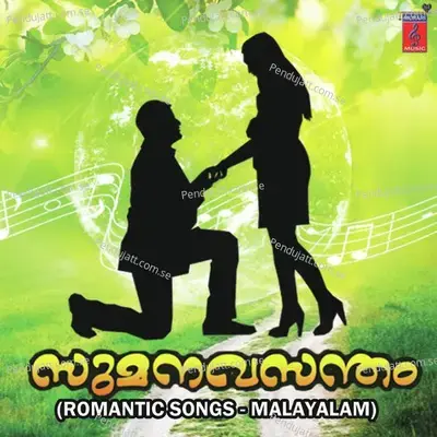 Itha Vaanil Ninnum - Male - Nishanth album cover 