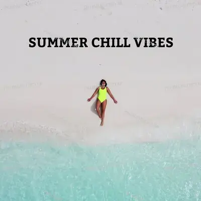 Summer Chill Vibes - Various Artists
