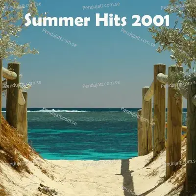 Summer Hits 2001 - Various Artists