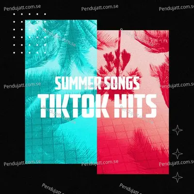 Summer Songs  Tik Tok Hits - Summer Hits cover album