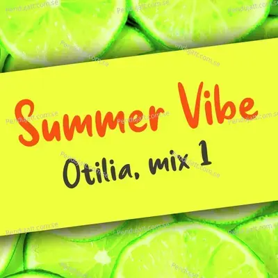 Summer Vibe  Deephouse Car Music Mix  1  - Otilia cover album