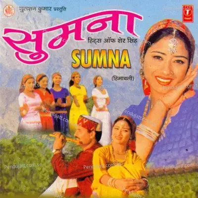 Chheti Chheti Aaja Mere Dhol Pardesiya - Sher Singh album cover 