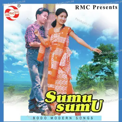 Angni Gwsw Mijinga - Sulekha Basumatary album cover 