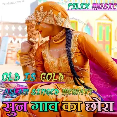 Sun Gaav Ka Chhora - Aslam Singer Mewati album cover 