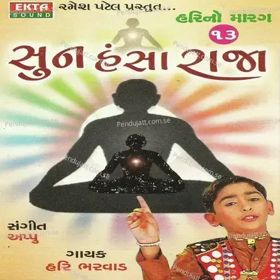 Sun Hansa Raja - Hari No Marag Part - 13 - Hari Bharwad cover album