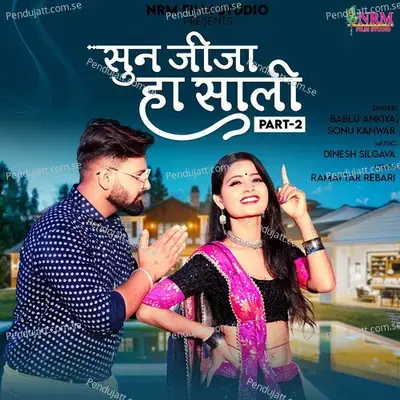 Sun Jija Ha Sali, Pt. 2 - Bablu Ankiya album cover 