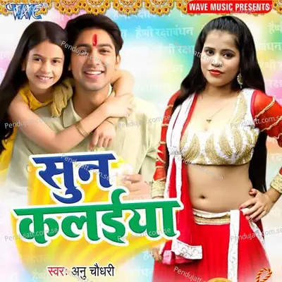 Sun Kalaiya - Anu Chaudhary album cover 