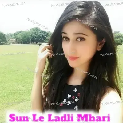 Sun Le Ladli Mhari - Dk Nareda album cover 