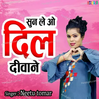 Sun Le O Dil Diwane - Neetu Tomar album cover 