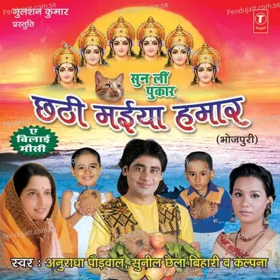 Gajmoti Chounka Purailein - Sunil Chhaila Bihari album cover 