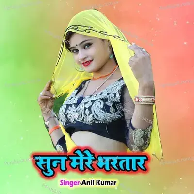 Sun Mere Bhartar - Anil Kumar album cover 