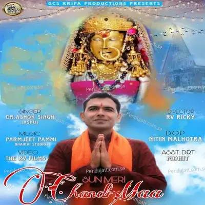 Sun Meri Chandi Maa - Dr. Ashok Singh (Ashu) album cover 