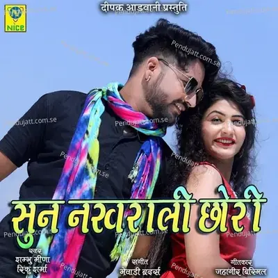 Sun Nakhrali Chori - Sambhu Meena album cover 