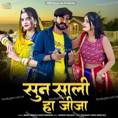 Sun Sali Ha Jija - Bablu Ankiya album cover 