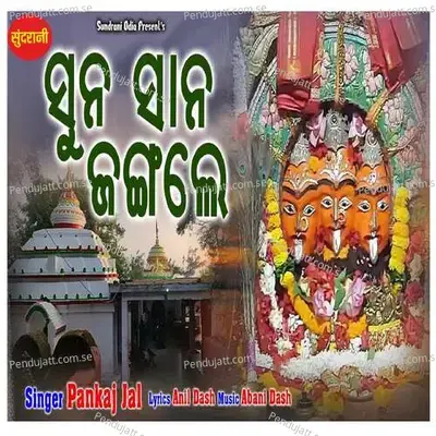 Sun Shan Jungale - Pankaj Jal album cover 