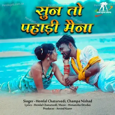 Sun To Pahadi Maina - Hemlal Chaturvedi album cover 