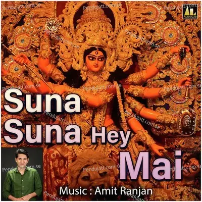 Agayeel Pujan Samaiya - Surendra Yadav album cover 