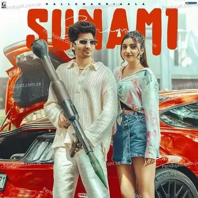 Sunami - Hallu Mandiaala album cover 