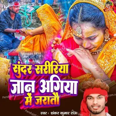  - Shankar Kumar Raj 