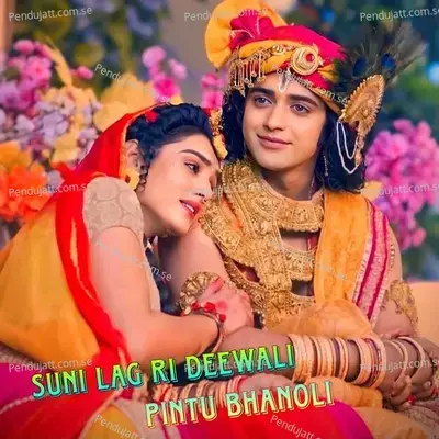 Suni Lag Ri Deewali - Pintu Bhanoli album cover 